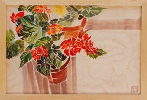 Begonia