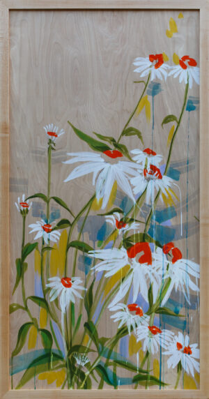 Echinacea